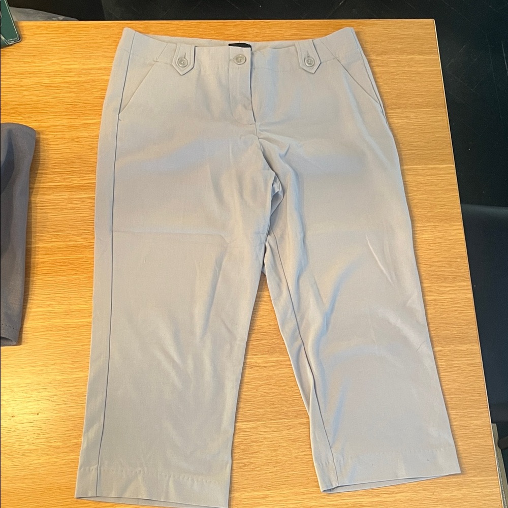 The Limited Gray Cassidy Fit Pants size 10